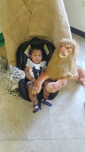 VBS 2019