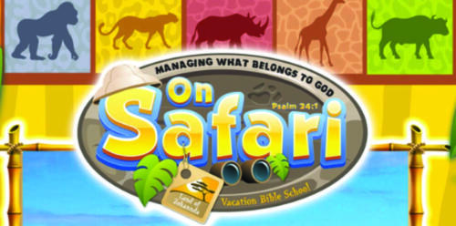 VBS 2019